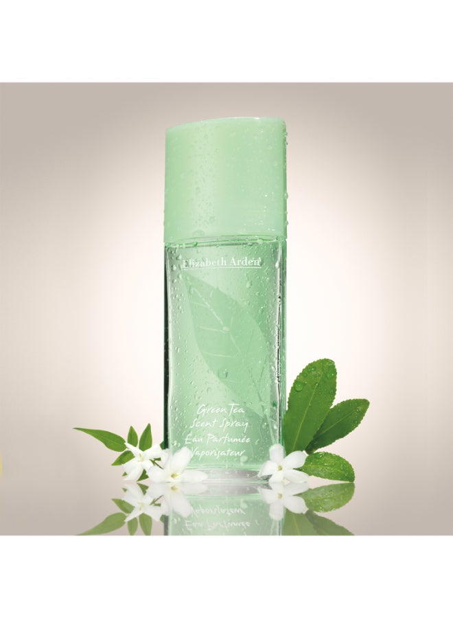 Green Tea Snt Sp 100ml - image 4