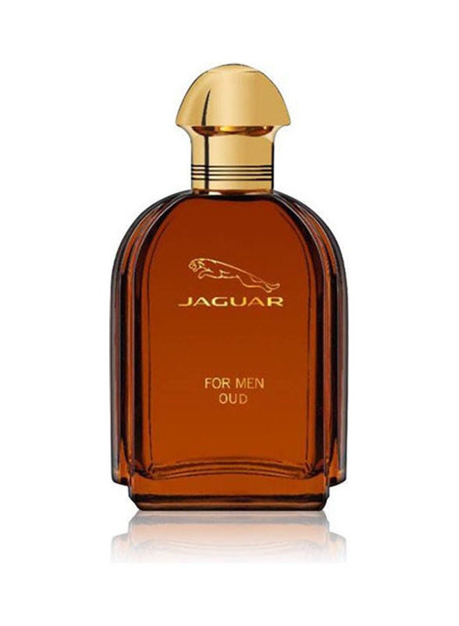Oud EDP 100ml - image 2