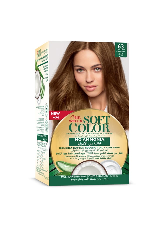 Soft Color Natural Instincts Hair Color 63 Golden Caramel