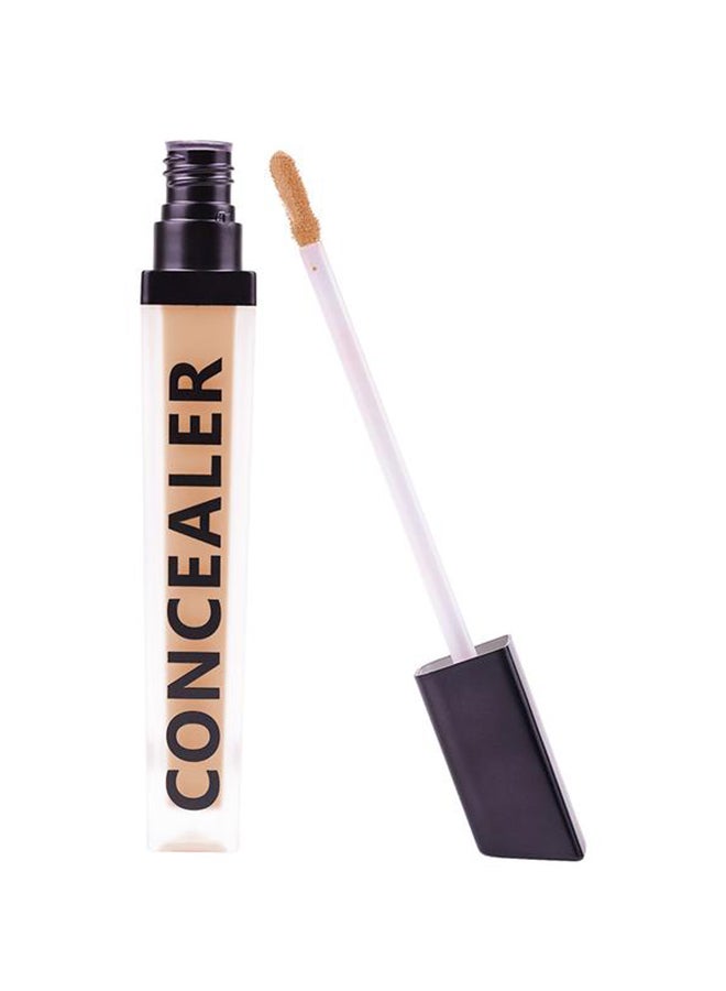 Coverup Concealer Natural 20.2
