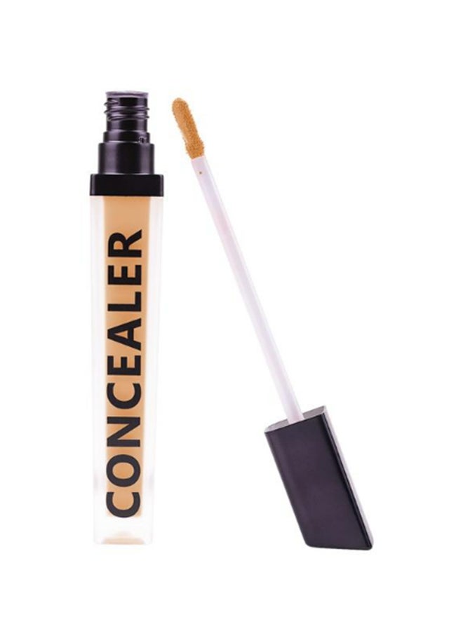 Coverup Concealer Chestnut 20.5