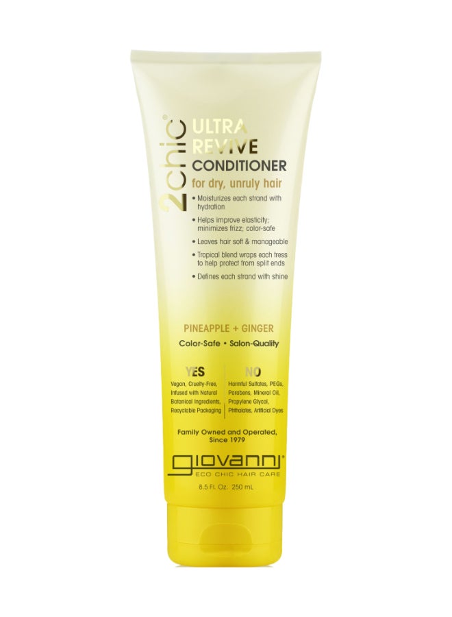 2chic Ultra Revive Conditioner 250ml