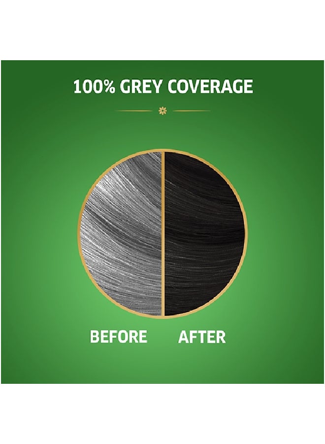 Koleston Naturals Hair Color 2/0 Balckberry - image 3
