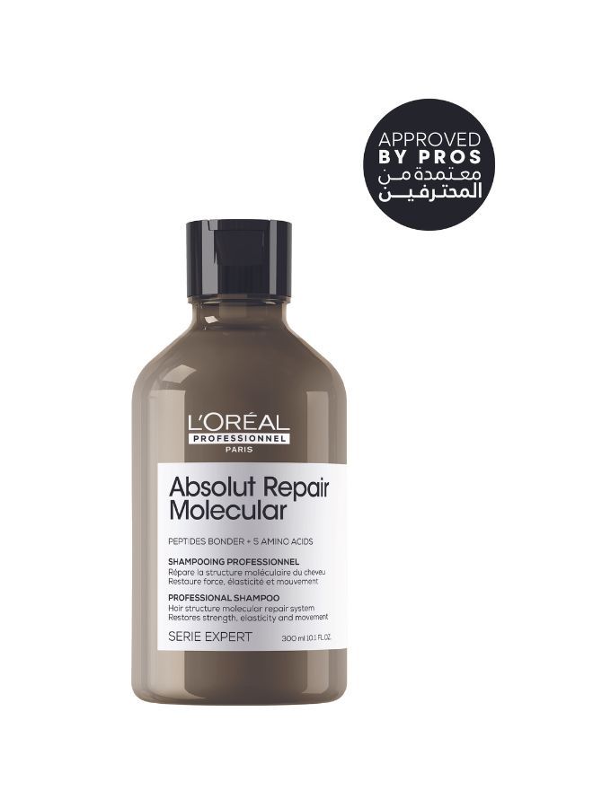 Absolut Repair Molecular Sulfate-Free Hair Shampoo 300ml