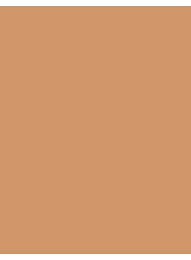 Perfect Coverage Mat Touch Foundation – 324 Hazel – Matte Finish Foundation, Shine Control, High Coverage Look, Smooth Skin Appearance 324-HAZEL NP - image 4