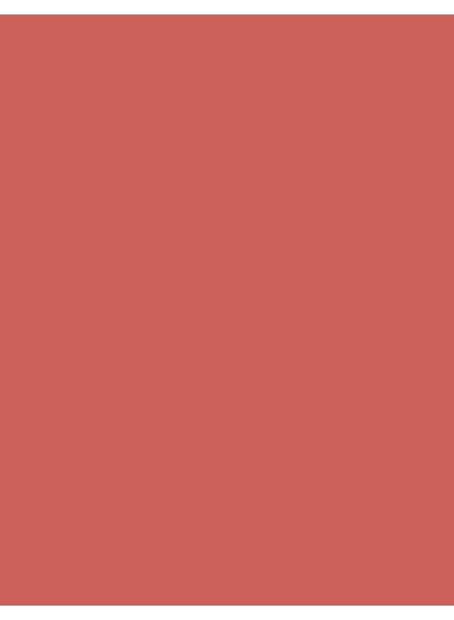 Sheer Up Lipstick – 004 Warm Peach – Semi-Transparent Moisturizing Lipstick, Helps Maintain Moisture Balance, Glossy Finish 004-WARM PEACH - image 4