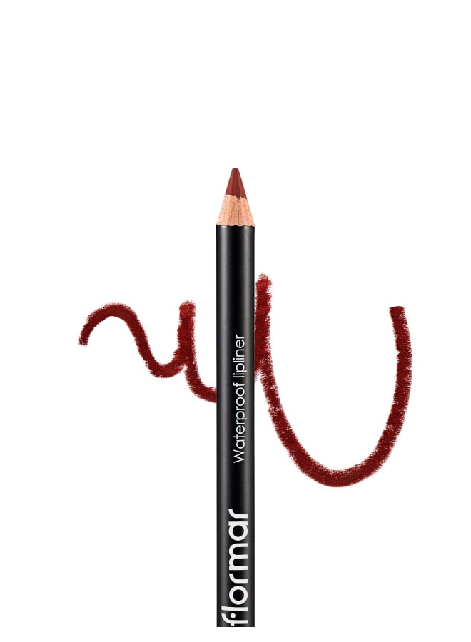 Waterproof Lipliner – 211 Classical Brown – Blendable, Long-Wear, Waterproof, Precise Tip, Smooth 211-CLSSCL BRWN - image 3