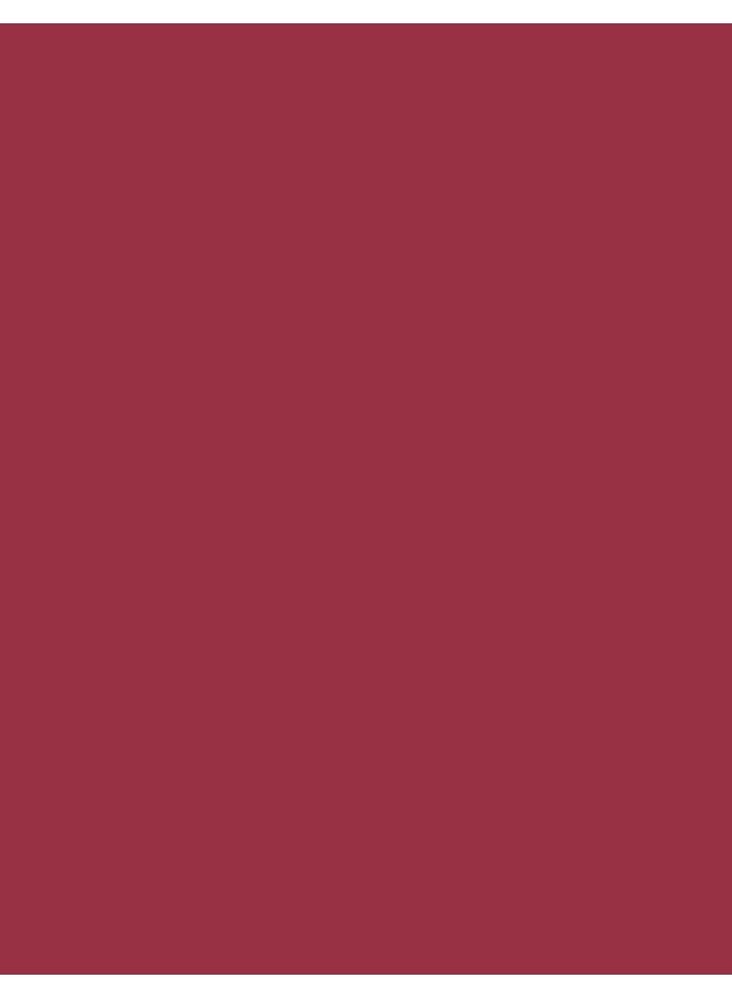 Silk Matte Liquid Lipstick 005 Autumn Timber - image 4