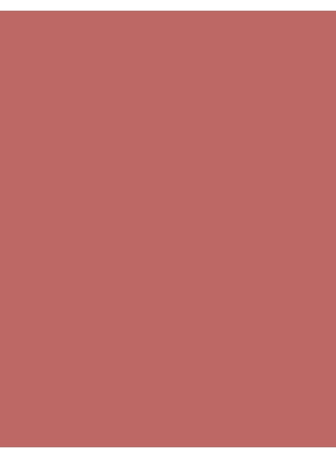 Baked Blush-On 4 Grams 044 Pink Bronze - image 4