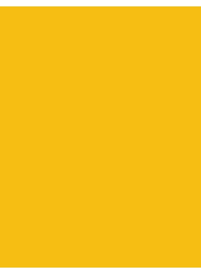 Full Color Nail Enamel 47 Lemoncello - image 3