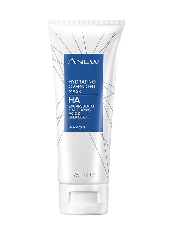 Anew Hyaluronic Acid Overnight Mask 75ml