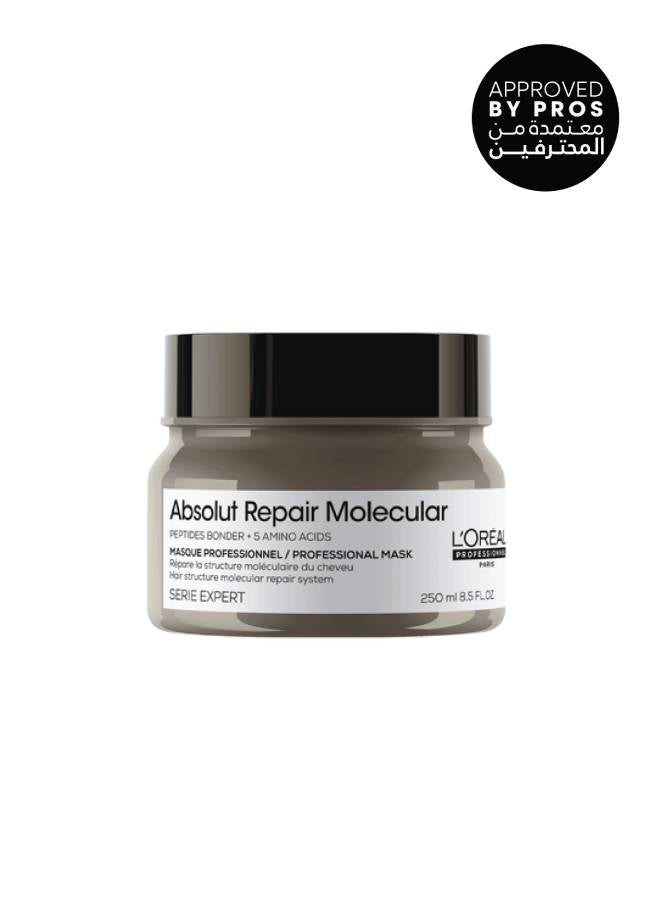 Absolut Repair Molecular Professional Concentrated Rinse-Off Mask 250ml