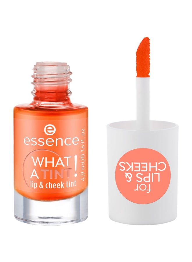 WHAT A TINT! Lip & Cheek Ink | 03 Peachy Vibes | Long-Lasting Natural Tint for Lips & Cheeks | Vegan Oil-Free Paraben-Free | Lightweight Multipurpose Makeup | 4.9ml (Pack of 1) Peachy Vibes - image 2