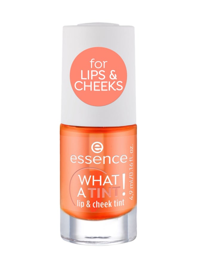 WHAT A TINT! Lip & Cheek Ink | 03 Peachy Vibes | Long-Lasting Natural Tint for Lips & Cheeks | Vegan Oil-Free Paraben-Free | Lightweight Multipurpose Makeup | 4.9ml (Pack of 1) Peachy Vibes