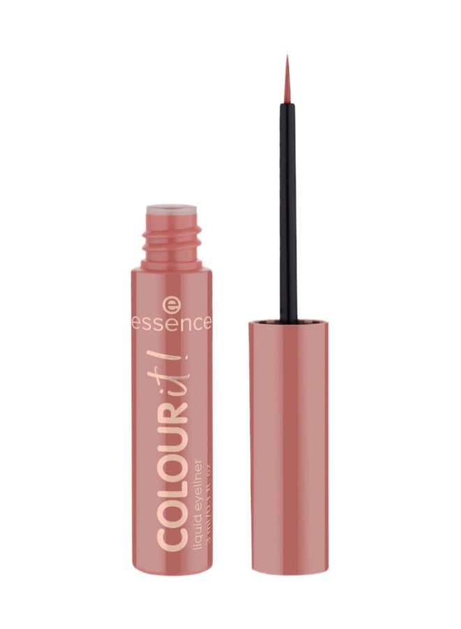 Colour It! Liquid Eyeliner | 04 Rusty Red | Long Lasting | Highly Pigmented | Quick Drying | Matte Finish | SmudgeProof | Precise Brush Tip | Vegan & Perfume Free | Eye Makeup Essential | 3 ml Rusty Red
