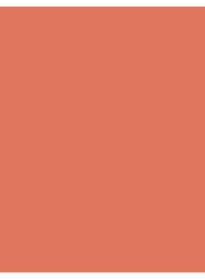 Shine Kiss Me More Liquid Lipstick – 002 Apricot Marmalade – High-Shine Liquid Lipstick, High Pigment, Smooth Comfortable Wear, Long-Lasting Glossy Finish 002-APRCT MARMLDE - image 5