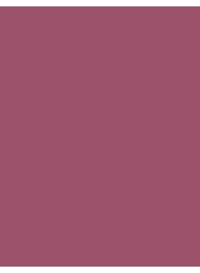 Shine Kiss Me More Liquid Lipstick – 008 Long Story – High-Shine Liquid Lipstick, High Pigment, Smooth Comfortable Wear, Long-Lasting Glossy Finish 008-LONG STORY - image 5