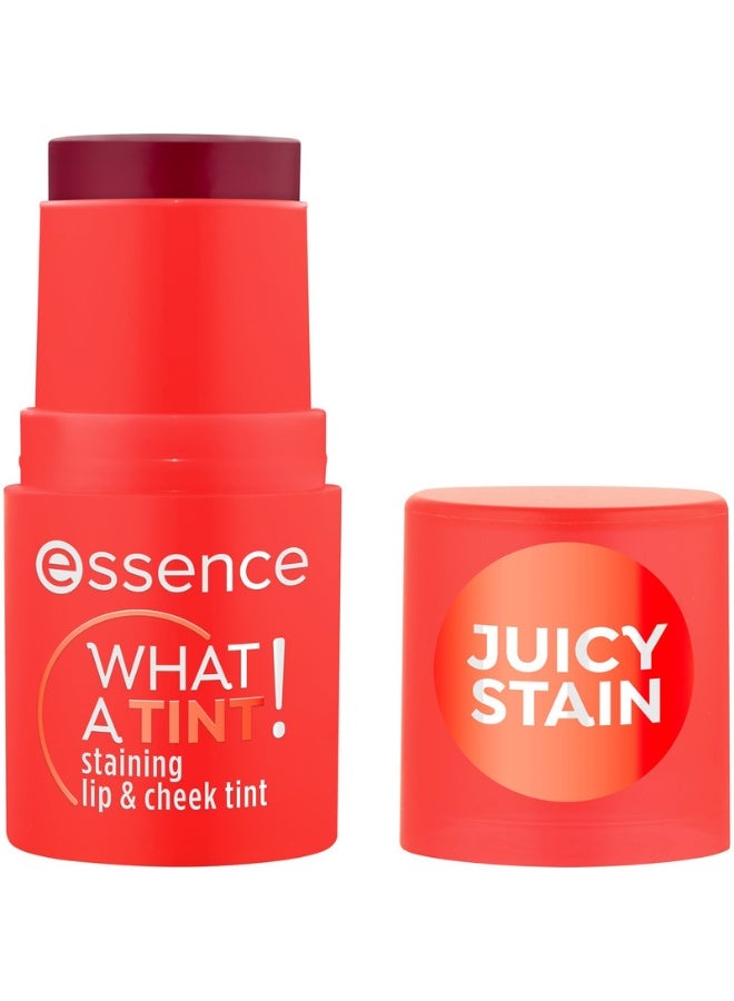 What A Tint! Staining Lip & Cheek Tint 20 Grapefruit Bliss