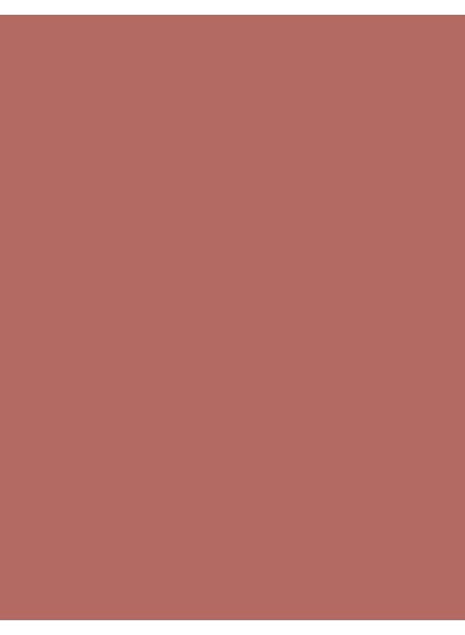 Silk Matte Liquid Lipstick – 012 Terracotta – High-Pigment Ultra Matte Finish, Long-Wear Comfort, Nourishing Oils, Velvety Smooth Look 012-TERRACOTTA - image 5