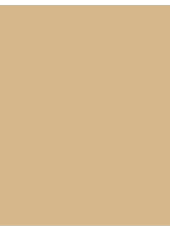Perfect Coverage Mat Touch Foundation – 305 Golden Honey – Matte Finish Foundation, Shine Control, High Coverage Look, Smooth Skin Appearance 305-GOLDEN HNEY NP - image 5