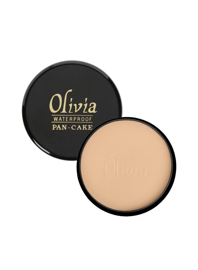 Cream Waterproof Cream Pan Cake Sun Tone Shimmering Makeup Concealer 25G Shade No.27 Shimmering Finish