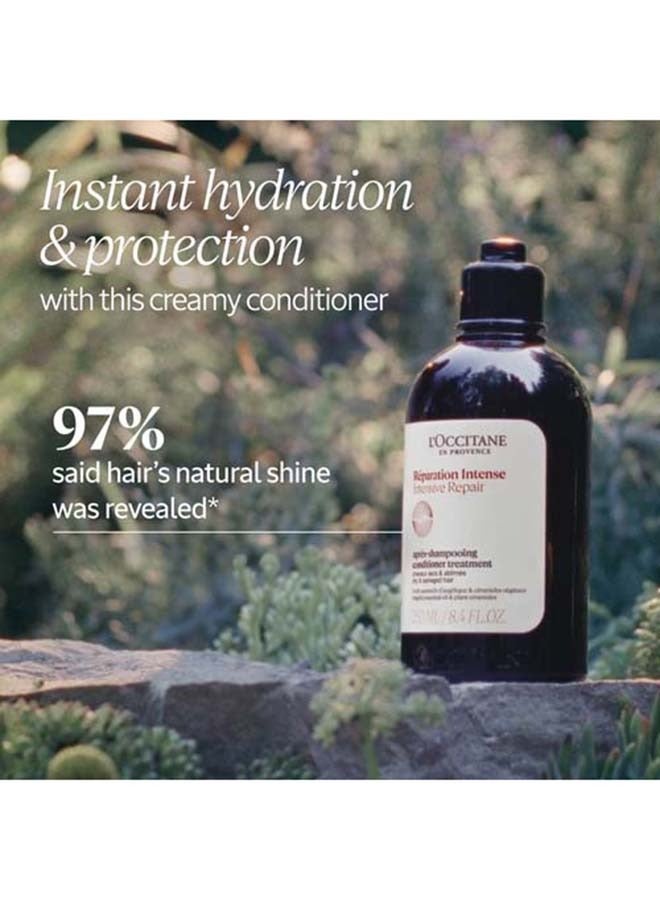 Intensive Repair Conditioner 500ML - image 2