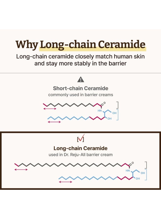 Advanced LC-Ceramide Barrier Cream 50ml | Patented Long-Chain Ceramide for Deep Hydration & Stronger Skin Barrier | Lightweight Korean Moisturizer for Sensitive Skin - image 8