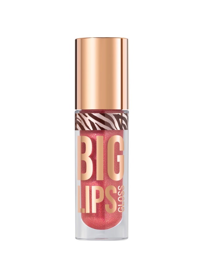 Lipgloss Big Lips shade 06