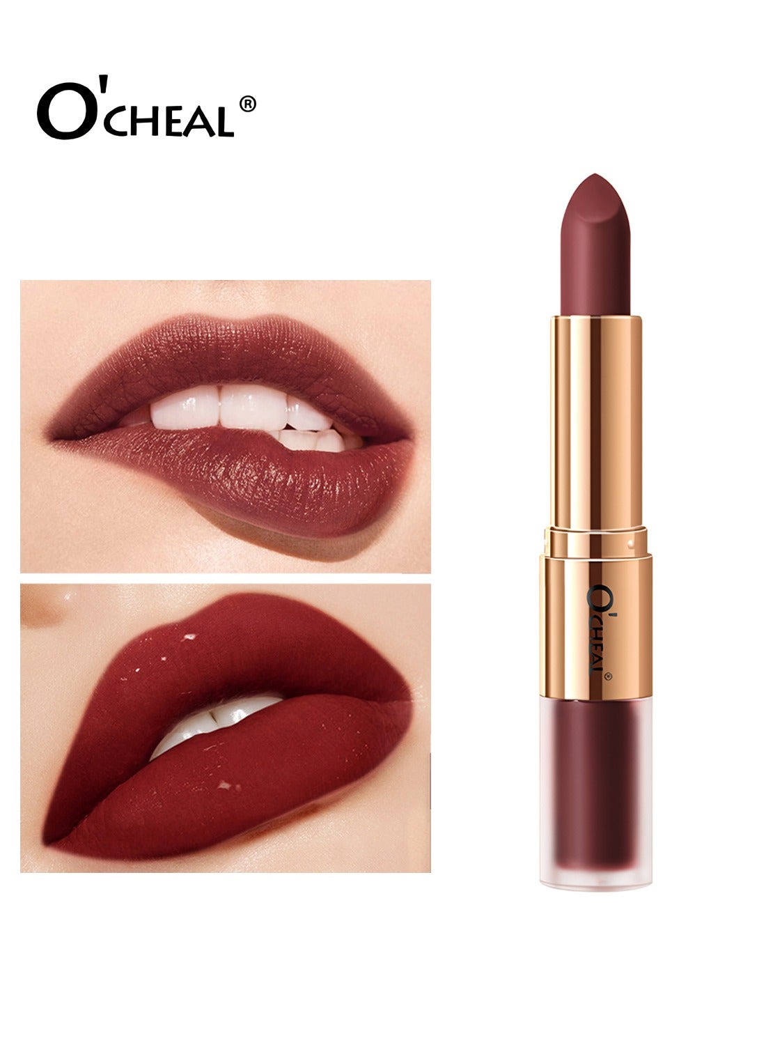 Color 10: The Burgundy Muse - Luxurious Matte Lipstick with a Glossy Twist