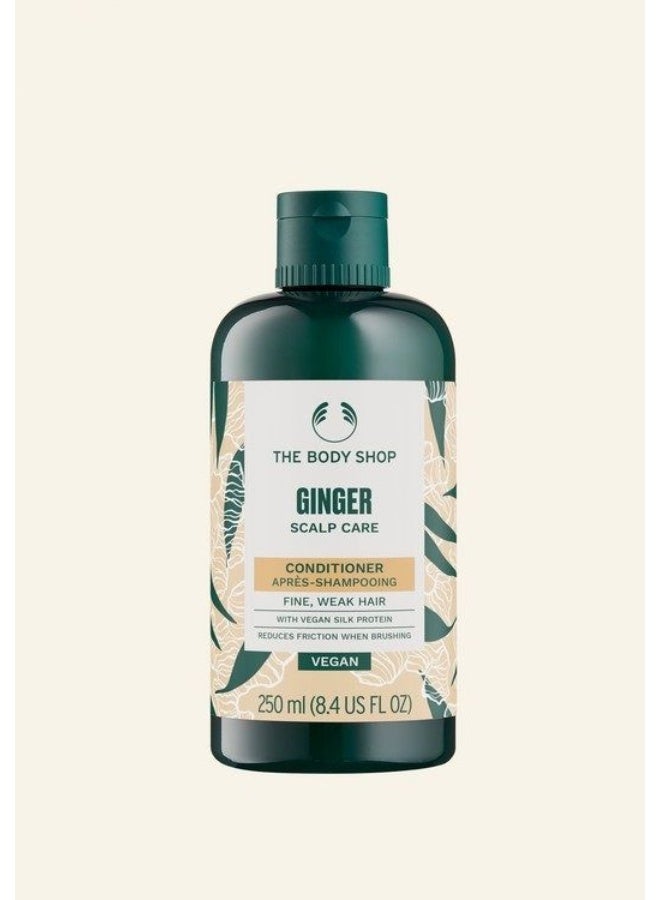 Ginger Scalp Care Conditioner for Fine, Weak Hair – Reduces Hair Breakage & Friction, Strengthens & Repairs Hair, Suitable for Sensitive Scalps, Part of 3-Step Hair Repair Routine, 97% Natural Ingredients