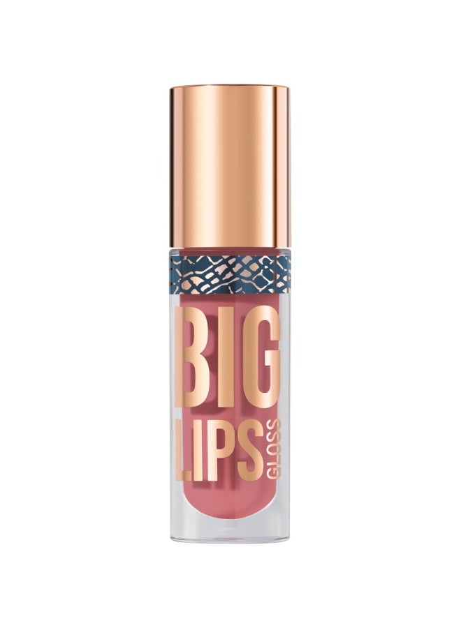 Lipgloss Big Lips shade 13