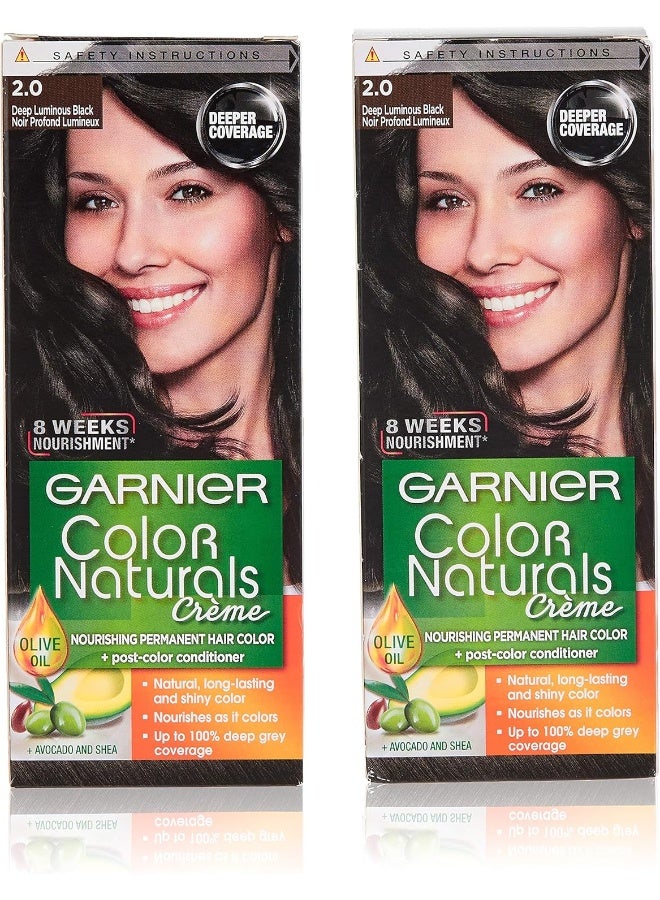 Color Naturals 2.0 Luminous Black Haircolor Pack of 2 - image 2
