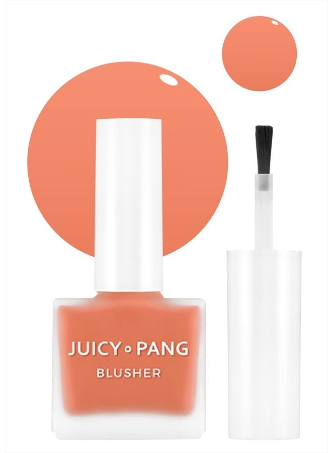 JUICY-PANG WATER BLUSHER (CR02 - Do You Like Persimmon?)- Korean Liquid Blush For Cheeks K Beauty Makeup