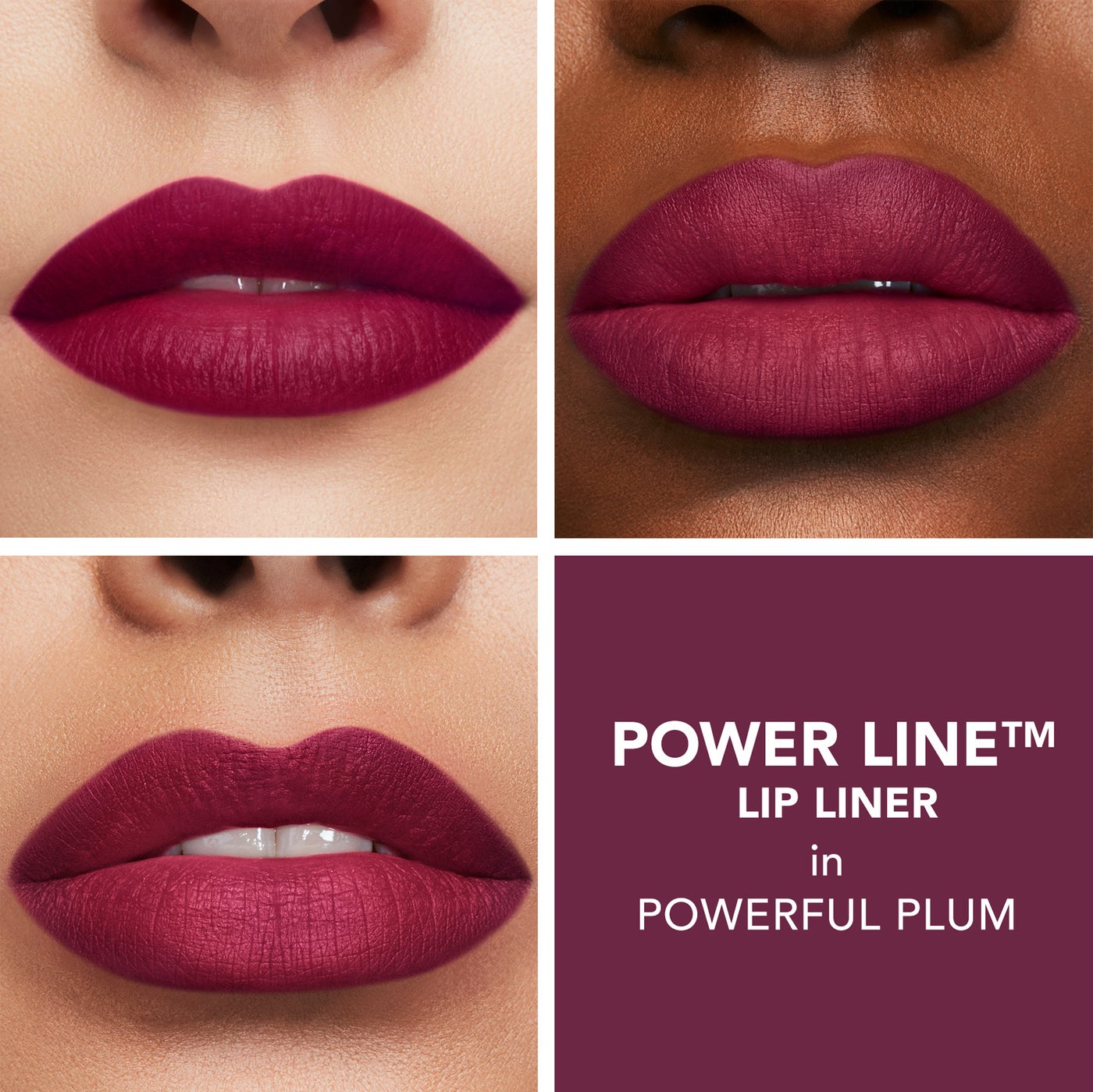 Power Line™ Plumping Lip Liner Powerful Plum - image 3
