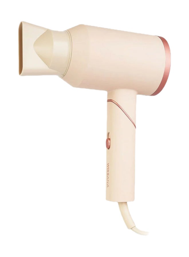Lightweight Design With Foldable Handle Hair Dryer
