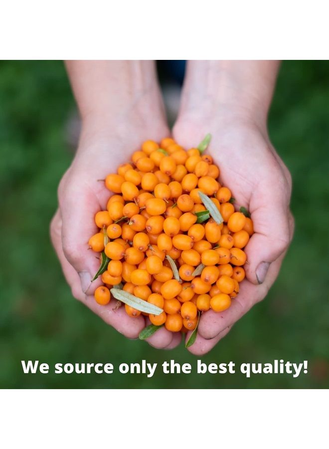 100% Pure Sea Buckthorn Seed Oil 2 oz - Premium Natural, Cold-pressed, Unrefined, Extra Virgin for Hair, Face, Lips, Acne, Anti aging Skincare