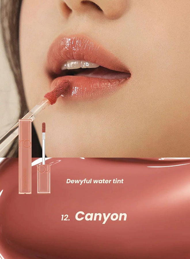 Dewy Ful Water Tint 12 Canyon - image 4