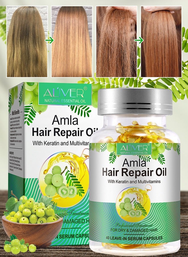 40 Pcs Amla Hair Repair Oil Capsules Organic Amla Oil with Keratin & Multivitamins Amla Hair Repair Oil Shines Nourishing Repair Dry & Damaged Hair Treatment Leave-In Serum