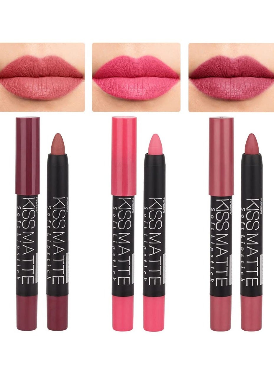 3Pcs Light Natural Pink Metallic Matte Lip Liner Pencil Crayon and Lipstick Set Long Lasting Waterproof DNM Matching Lipstick and Lip Liner Set 24 Hour mate 24 horas originales 1&4&7