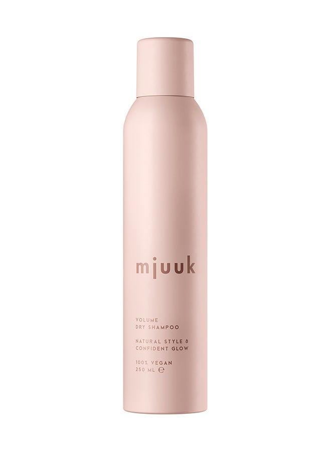 Volume Dry Shampoo 250ml