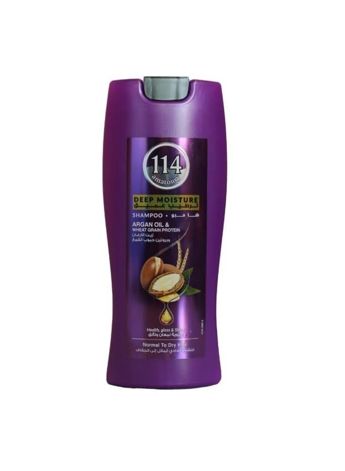 Hair Shampoo Argan Oil & Wheat Grain Protein  Normal to Dry hair - 400ML Health Gloss Shine Haircare Shampoo Deep Moisture