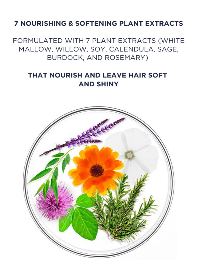 Phyto 7 Nourishing Day Cream, Leave-In Styling Cream for Dry & Very Dry Hair, Silicone-Free 50ml - image 4