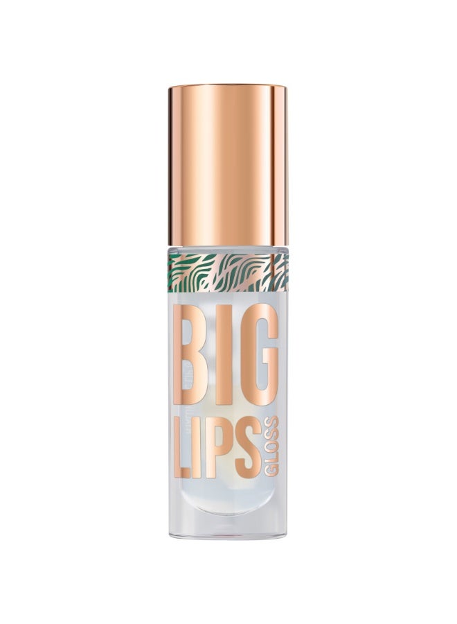 Lipgloss Big Lips shade 01