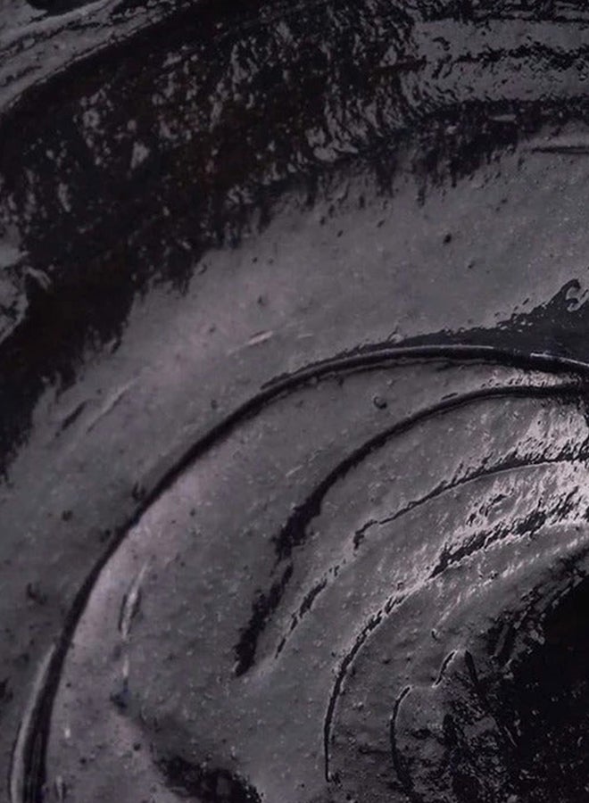 Icy Blond Conditioner – Black Pigment Anti-Yellow Conditioner for Very Light Blonde & Platinum Hair – Paraben Free with Grapeseed Oil & Integrity 41 for Ash Tones, Shine & Color Protection, 250ml - image 4