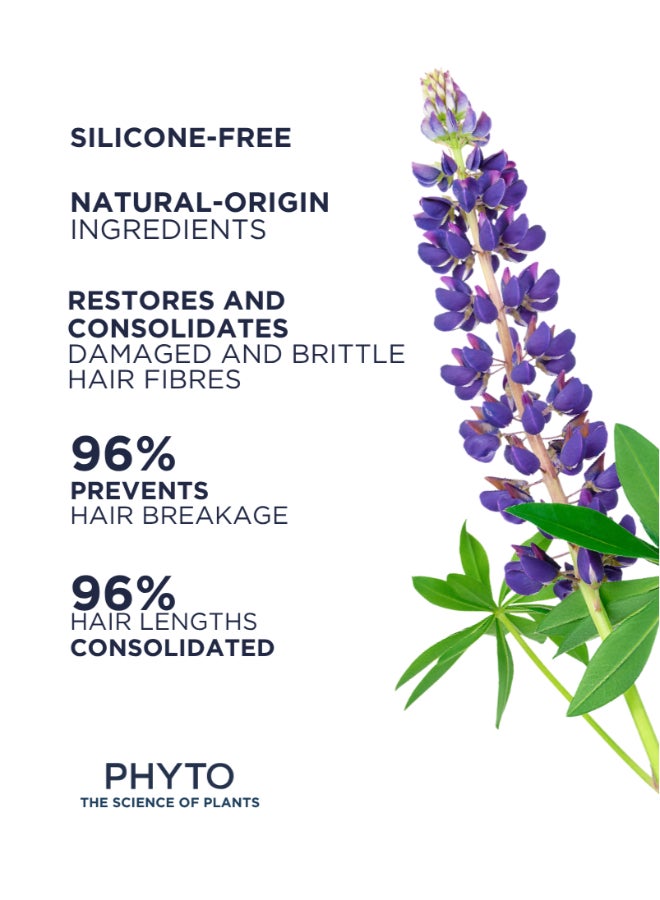 Phyto Repair Restructuring Mask - Restores and consolidates damaged and brittle hair fibres, Sulfate-free, Paraben-free, Silicone-free, Gluten-free 200ml - image 2