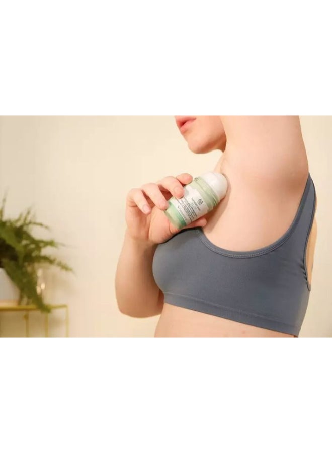 Aloe Caring Roll-On Deodorant – Gentle Deodorant for Sensitive Underarms | Soothes & Refreshes, Keeps You Dry All Day | Alcohol-Free, Fragrance-Free, Colour-Free, 50ml - image 4
