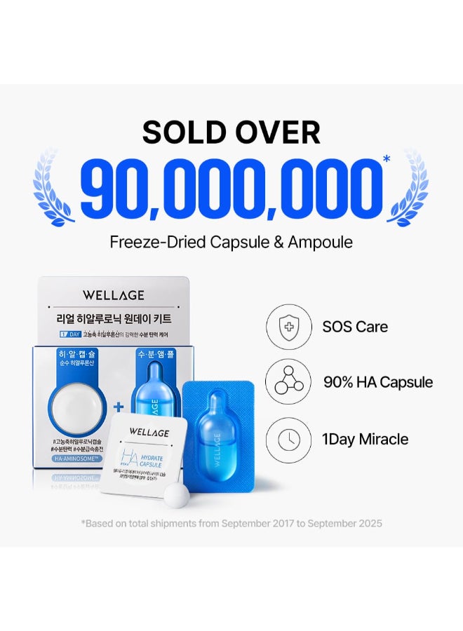 Wellage Real Hyaluronic One Day Kit - image 2