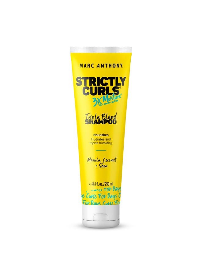Curly Hair Shampoo, Strictly Curls - 3x Moisture For Curl Defining & Curl Enhancing - Shea Butter, Marula Oil, Aloe Vera & Coconut Cream - Sulfate Free & Color Safe For Dry Damaged Hair