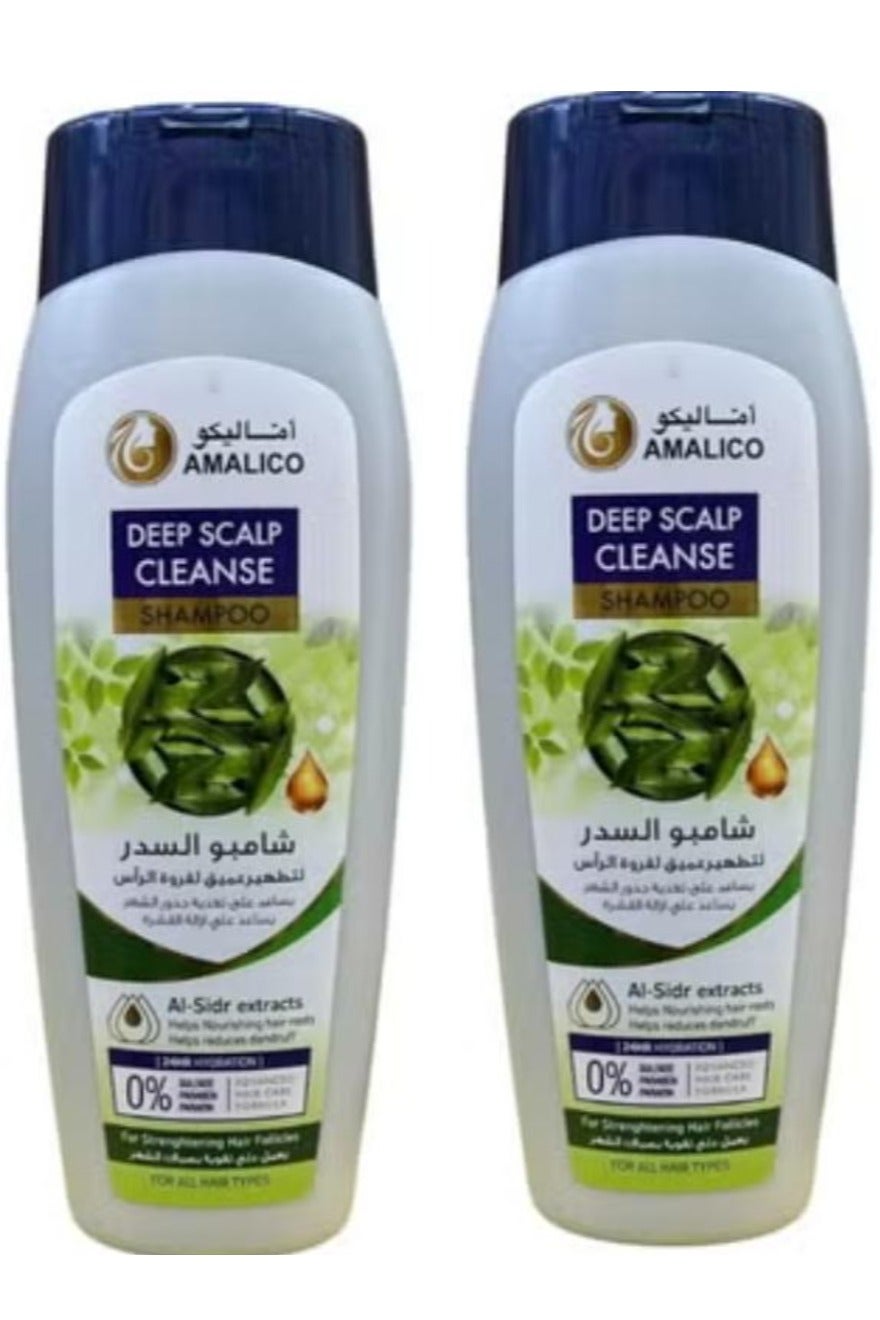 Deep Scalp Cleanse Shampoo AL-Sidr Exracts 425 ml