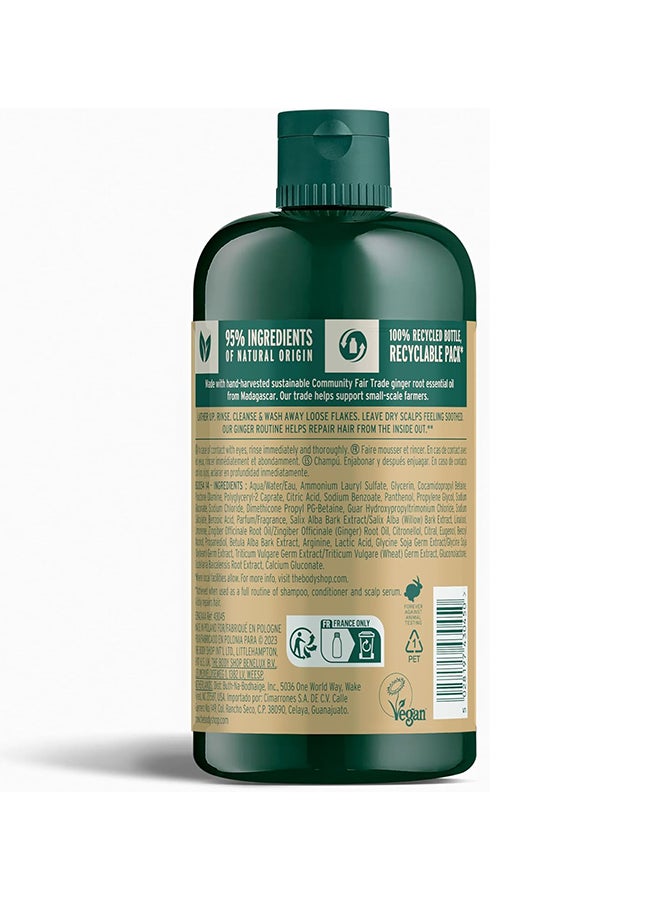 Ginger Anti-Dandruff Shampoo – Clarifying Shampoo for Dry, Flaky & Itchy Scalp, With Ginger Root Density Complex, Soothes & Clears Flakes, Promotes Healthy Hair Growth, Vegan Bestseller, 400ml - image 2